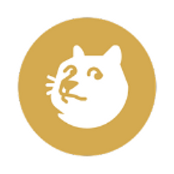 ZDFNB