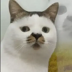 KET