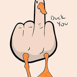 DUCKYOU