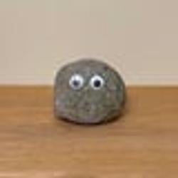 rocky
