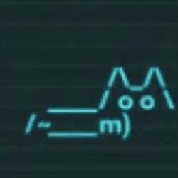 BTCAT / SOL