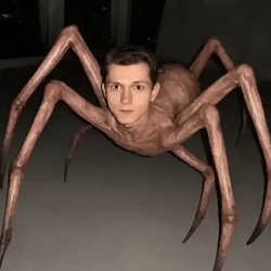 SpiderMan / SOL
