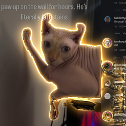 Ed