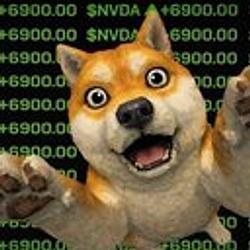 NoValueDogAsset