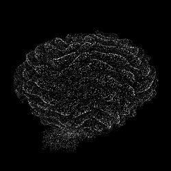 BRAIN / WETH