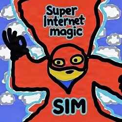 SIM