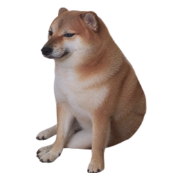 CASHDOG