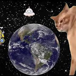 bapcat