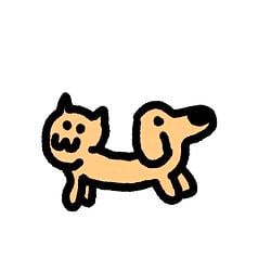 catdog / SOL