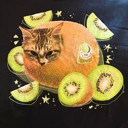 KIWI / SOL