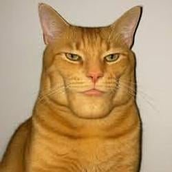 GIGACAT