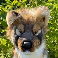 NIKITA / SOL