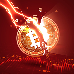 Dead Coin / SOL