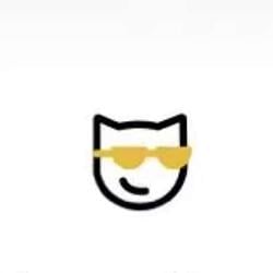 MEMECAT / BNB