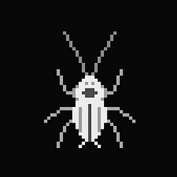 ROACH