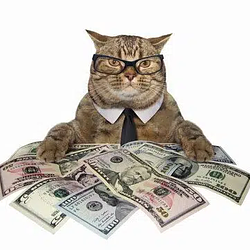 richcat / SOL