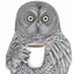 OWLNIGHT