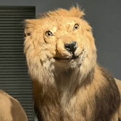 LEOS