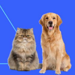 PETS / BNB