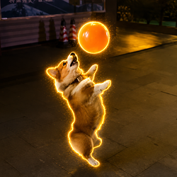 clumsydog / SOL