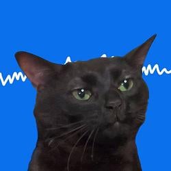 Stablecat