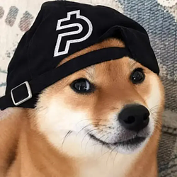 PAYINU
