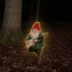 Gnomes