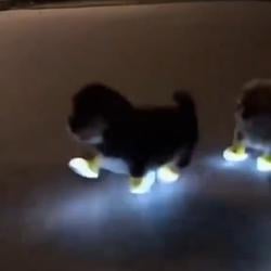 TIME / NVDA