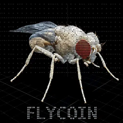 FLY