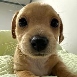 HELLO?!?!