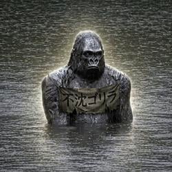 GORILLA / SOL