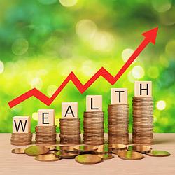 $WEALTH