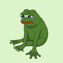 CASHFROG / SOL