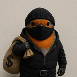 Robbin / SOL
