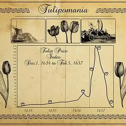 TULIP MANIA
