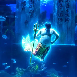 Aquaman / SOL