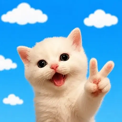 Peace / SOL