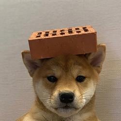 WIFBRICK