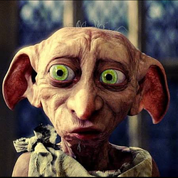 DOBBY