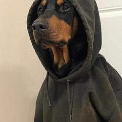 HOODED
