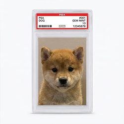 DOG#001