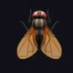 FLY-TRADER / GOOGLx