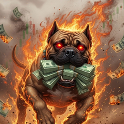 CASHDOG / SOL