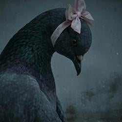 SadPigeon