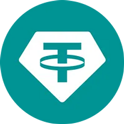 TON-USDT / USD₮ 0.2%