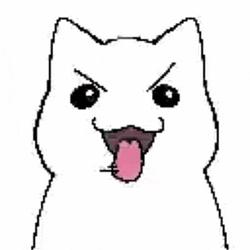 ANGRYCAT