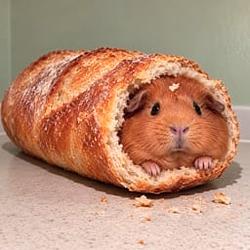 LADYLOAF