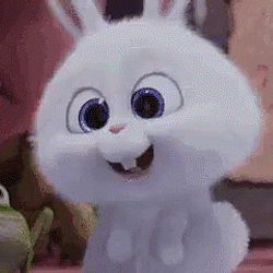 RABBIT
