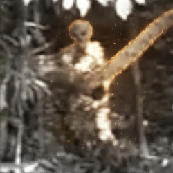 Alien / SOL