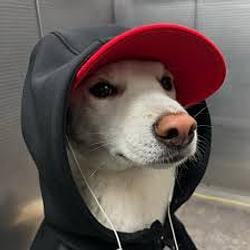 S INU